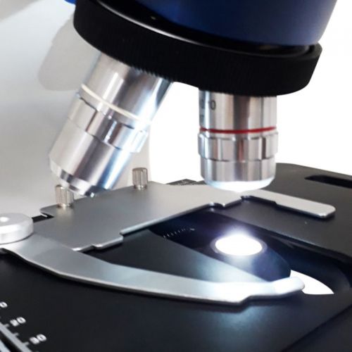 Microscópio Binocular Plan. BLUE 1000X Infinito, Campo Escuro Óleo -Registro ANVISA