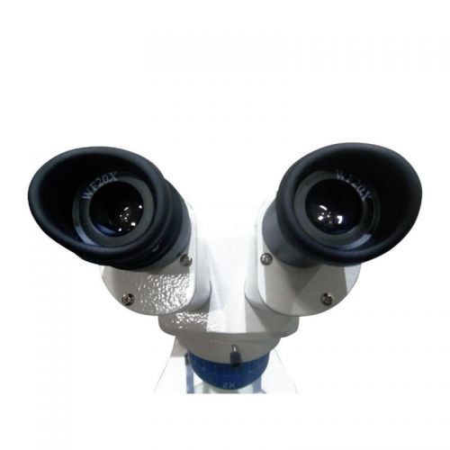 Estereomicroscópio Binocular com aumento de 80x sem Zoom Iluminação de LED - Biofocus XT-3L-NM-BI