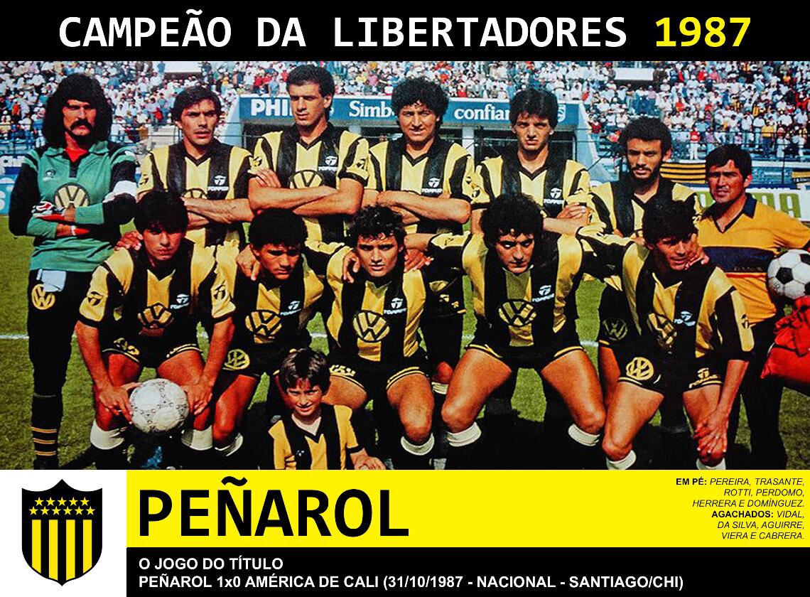 OS CAMPEÕES DA LIBERTADORES