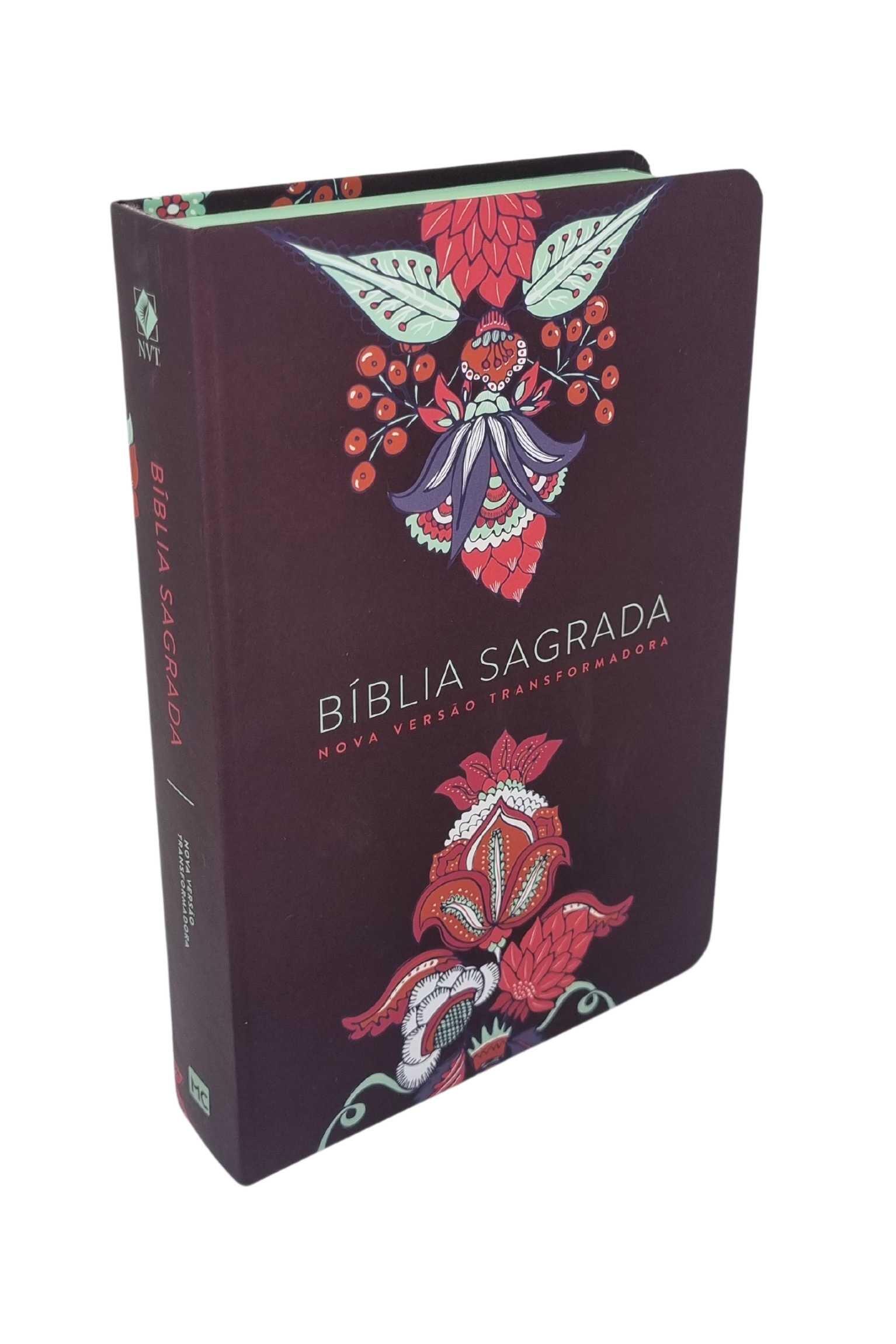 Comprar Bíblia Indian Flow - Nova Versão Transformadora (NVT) - a