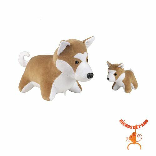 Akita Grávida com 1 Filhote