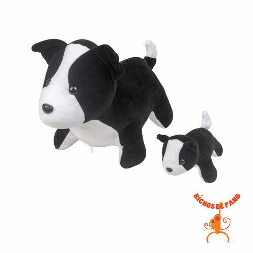 Border Collie Grávida com 1 Filhote