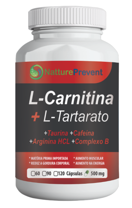 l-carnitine fat loss reviews Beneficial effects of l-carnitine supplementation for weight management in  overweight and obese adults: An updated systematic review and dose-response  meta-analysis of randomized controlled trials