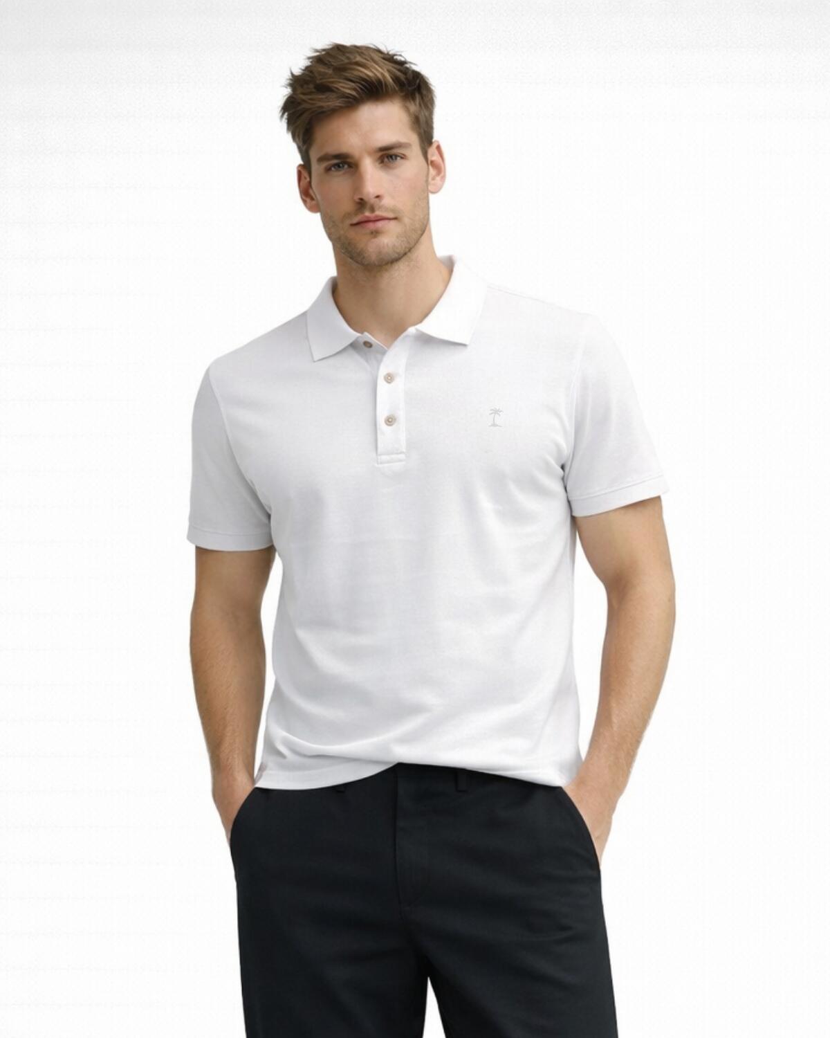 Comprar POLO PIQUET PIMA VERAO 26