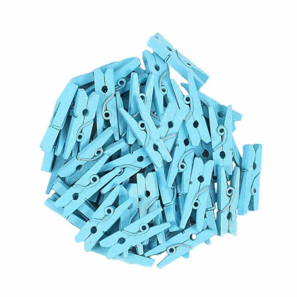 Mini Prendedor Madeira 2,5cm com 100 Unidades