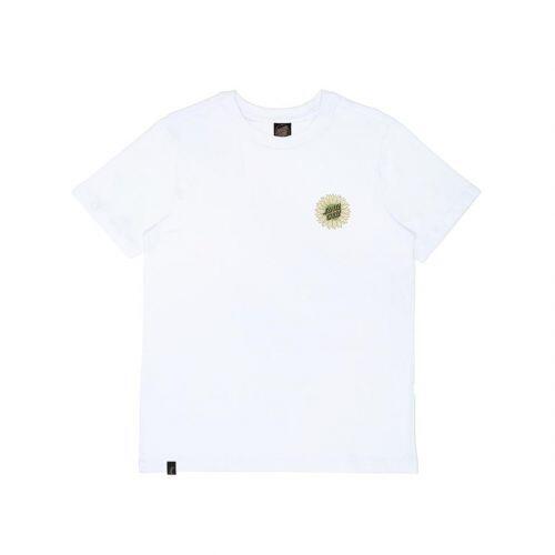 Comprar produtos SANTA CRUZ
