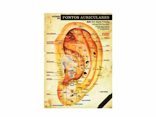 Mapa Auricular | 11º Ed. - Wagner Fonseca