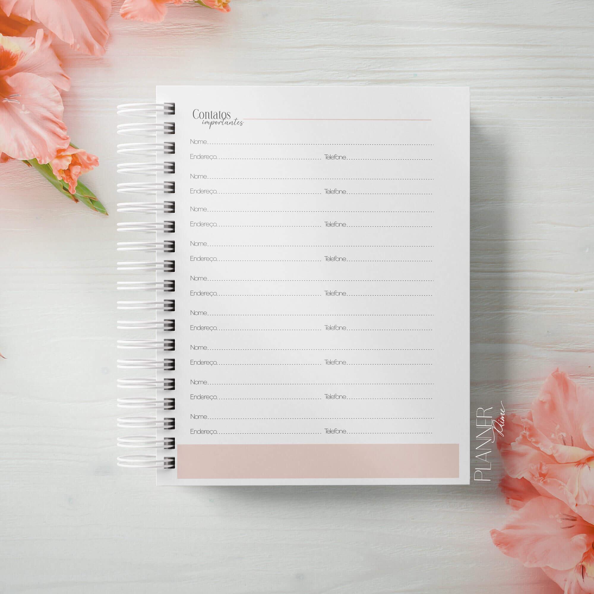 Agenda 2025 personalizada | Pessoa física, jurídica e agências