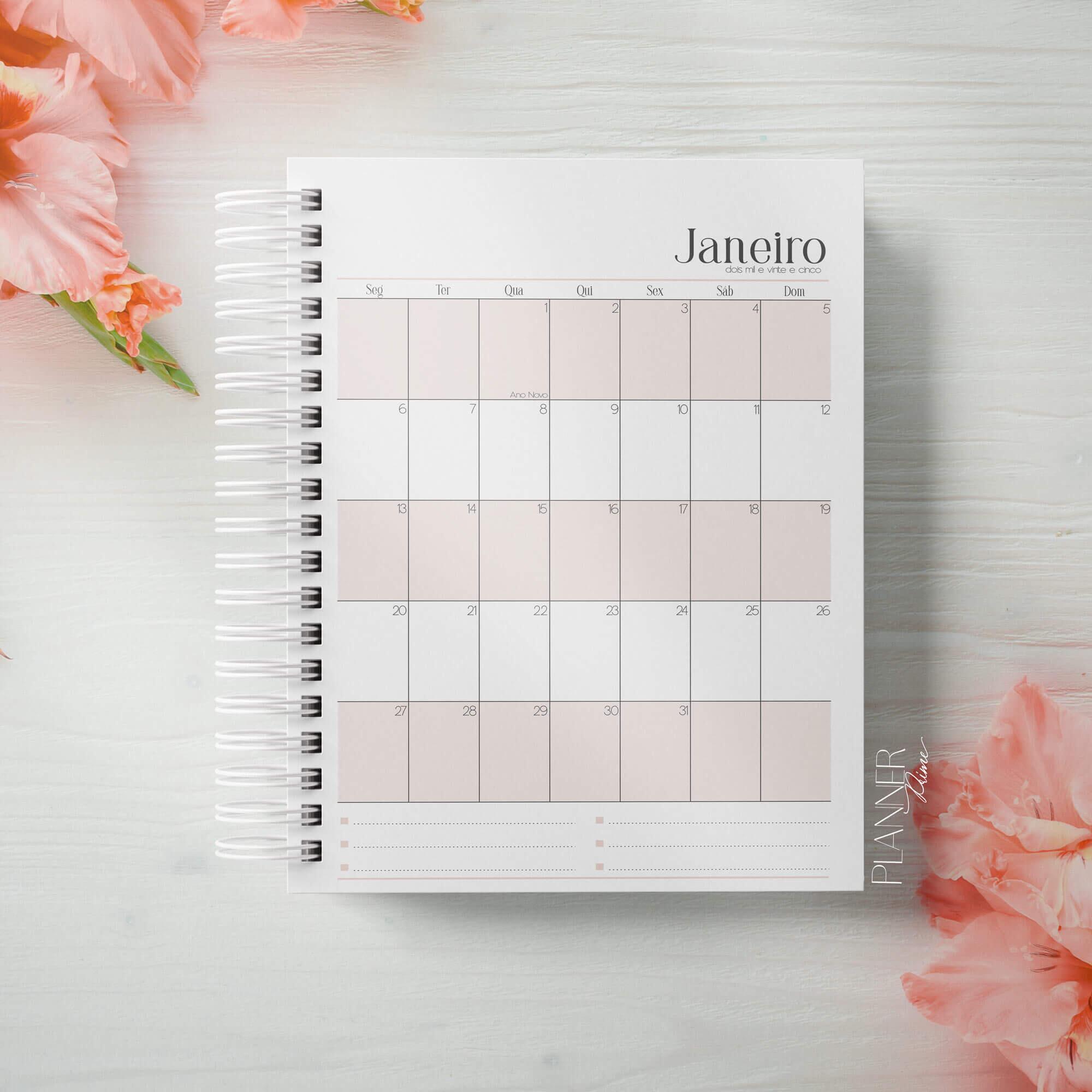 Agenda 2025 personalizada | Pessoa física, jurídica e agências