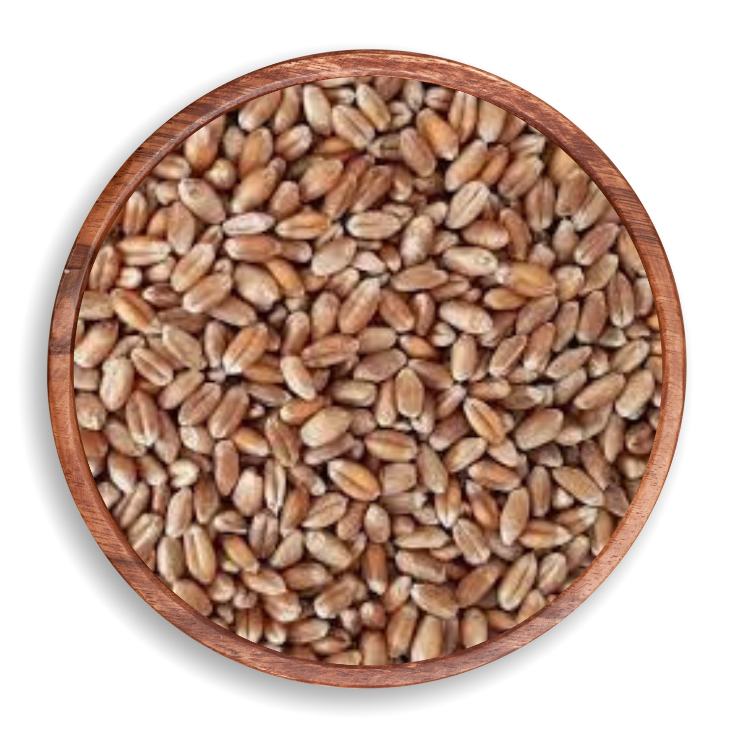 Comprar TRIGO EM GRAO - 100G - R$2,50 - Nutri+ Produtos Naturais