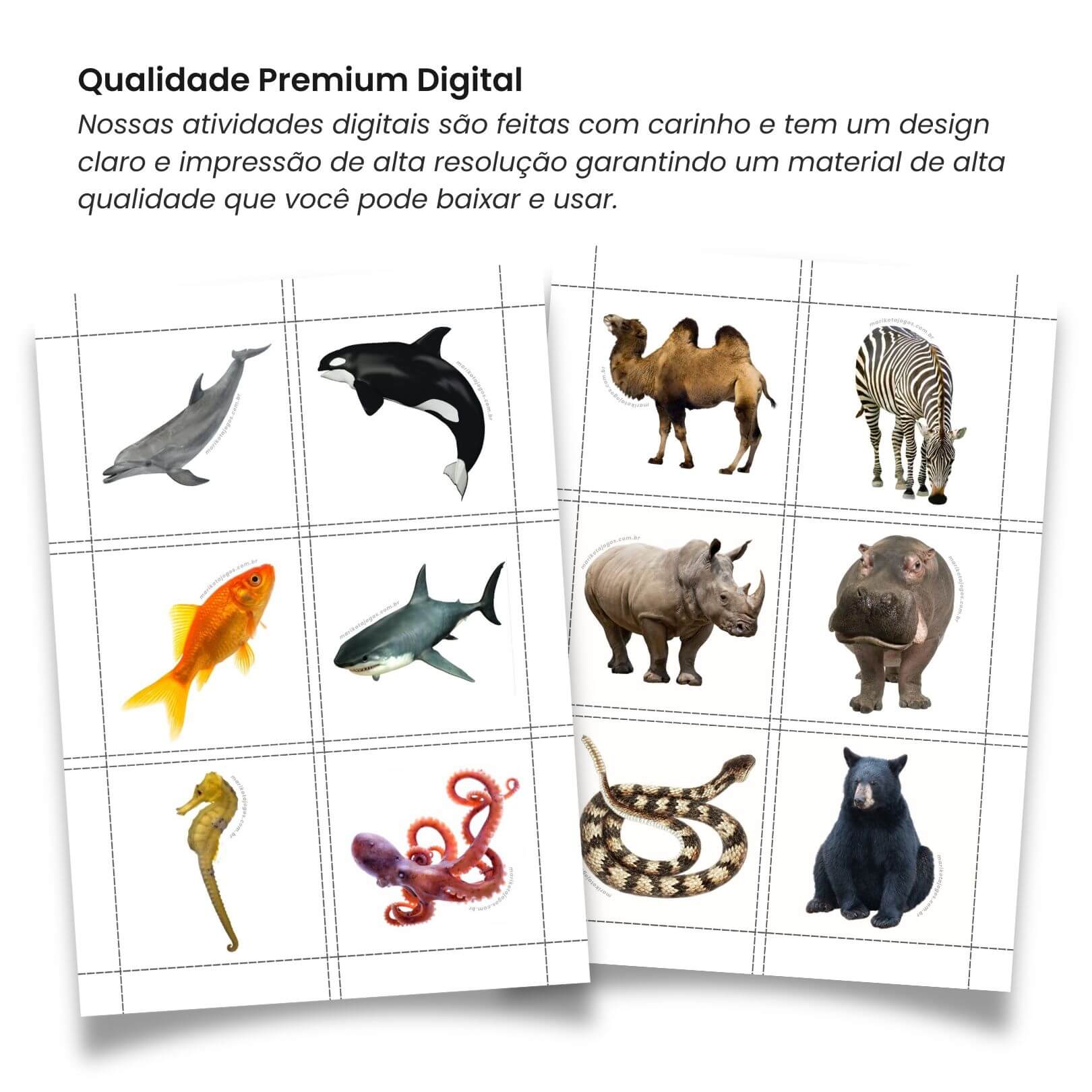 Pareamento de Animais para Autismo | Fichas digitais - a partir de R$16,17