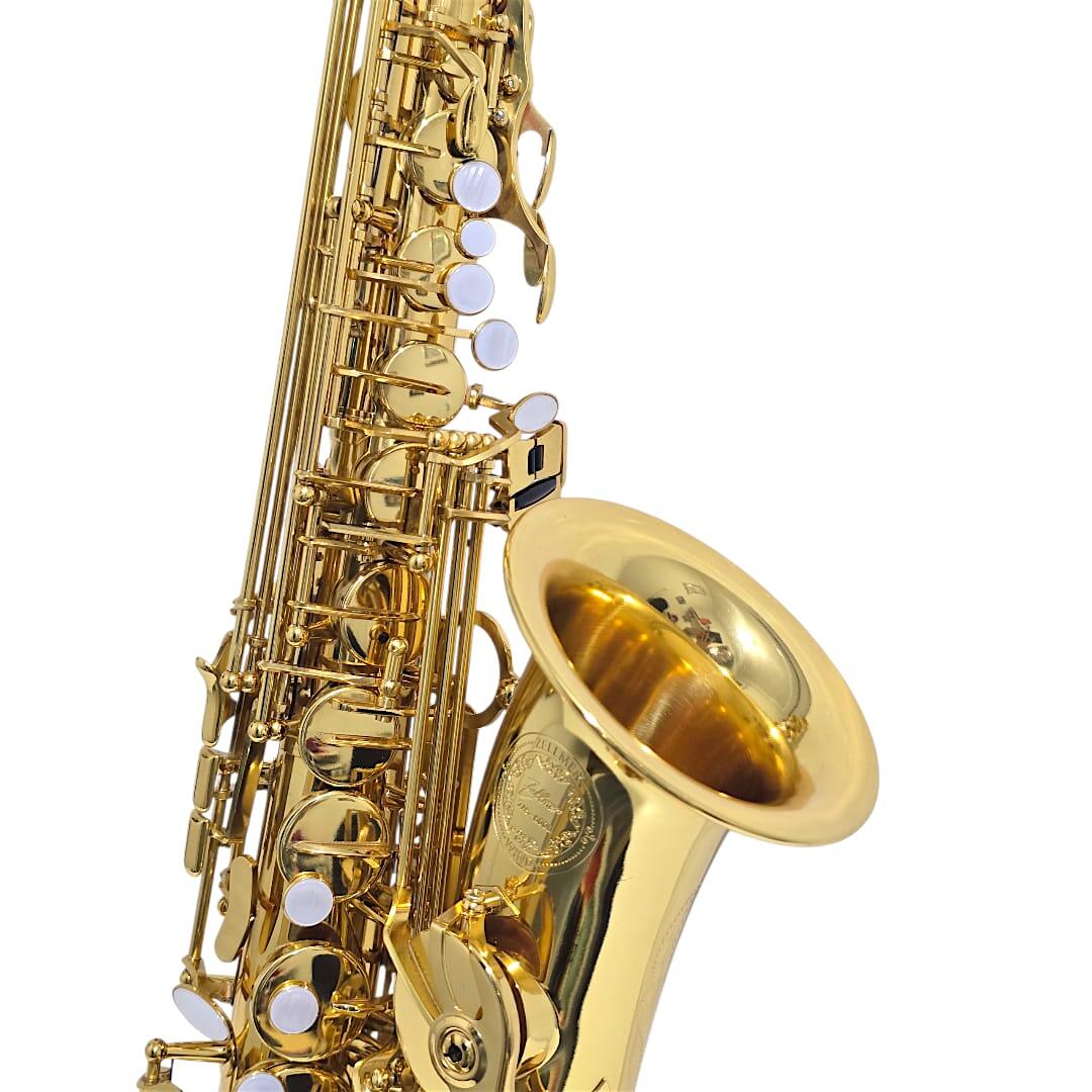 Comprar Sax Alto Zellmer ZAS-600L Laqueado Completo - 1214 - a