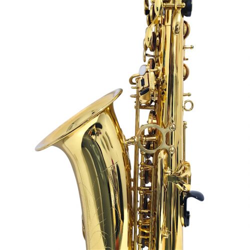 Comprar Sax Alto Zellmer ZAS-600L Laqueado Completo - 1214 - a