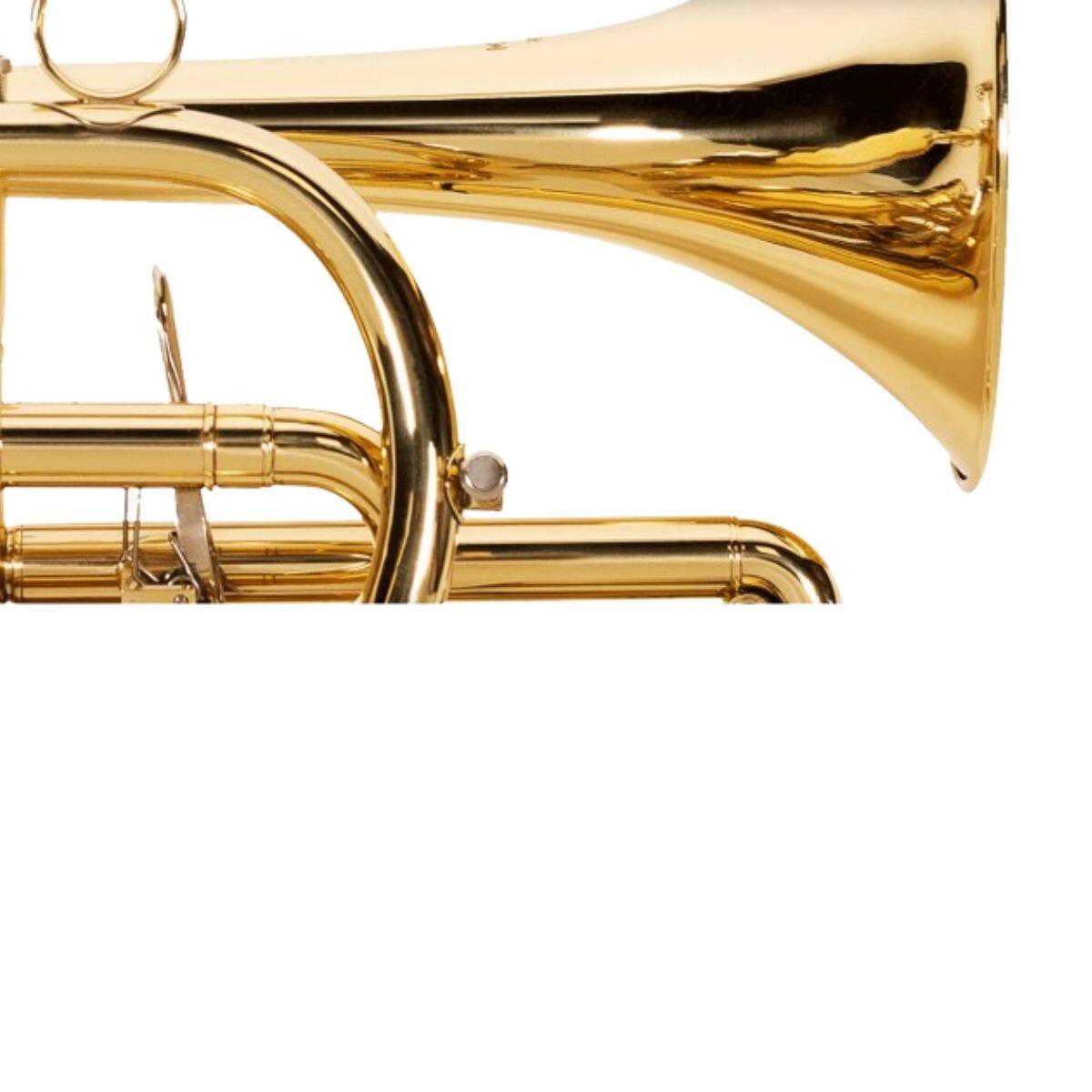 Cornet Sib Michael WCORM45N Laqueado - Som Claro e Excelente