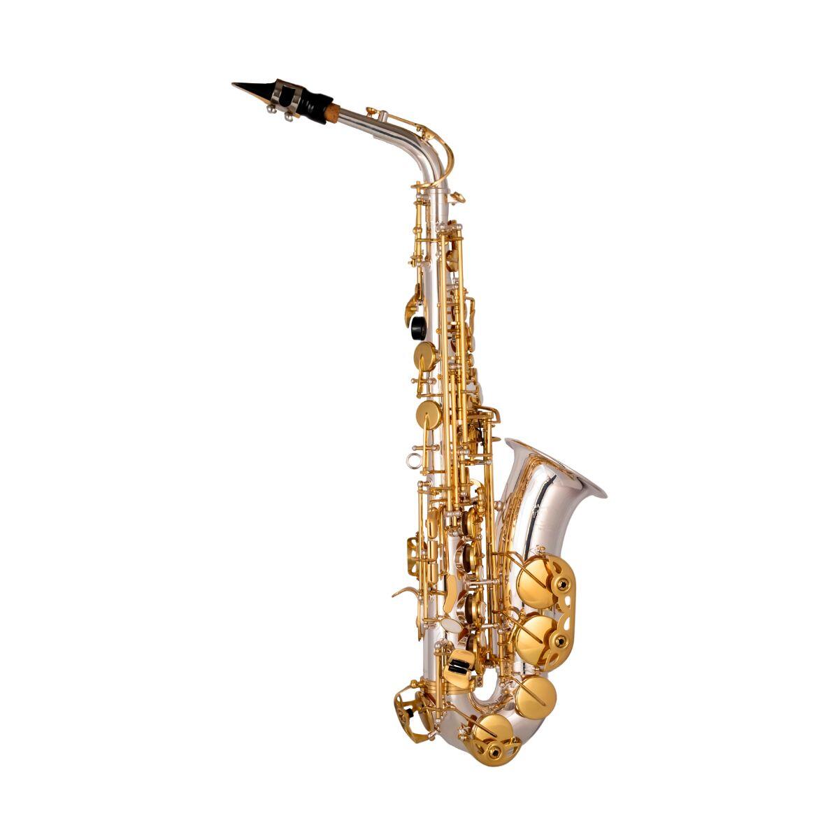 Comprar Saxofone Alto Mib Tokai TSA-200PG Prata/Dourado - a partir