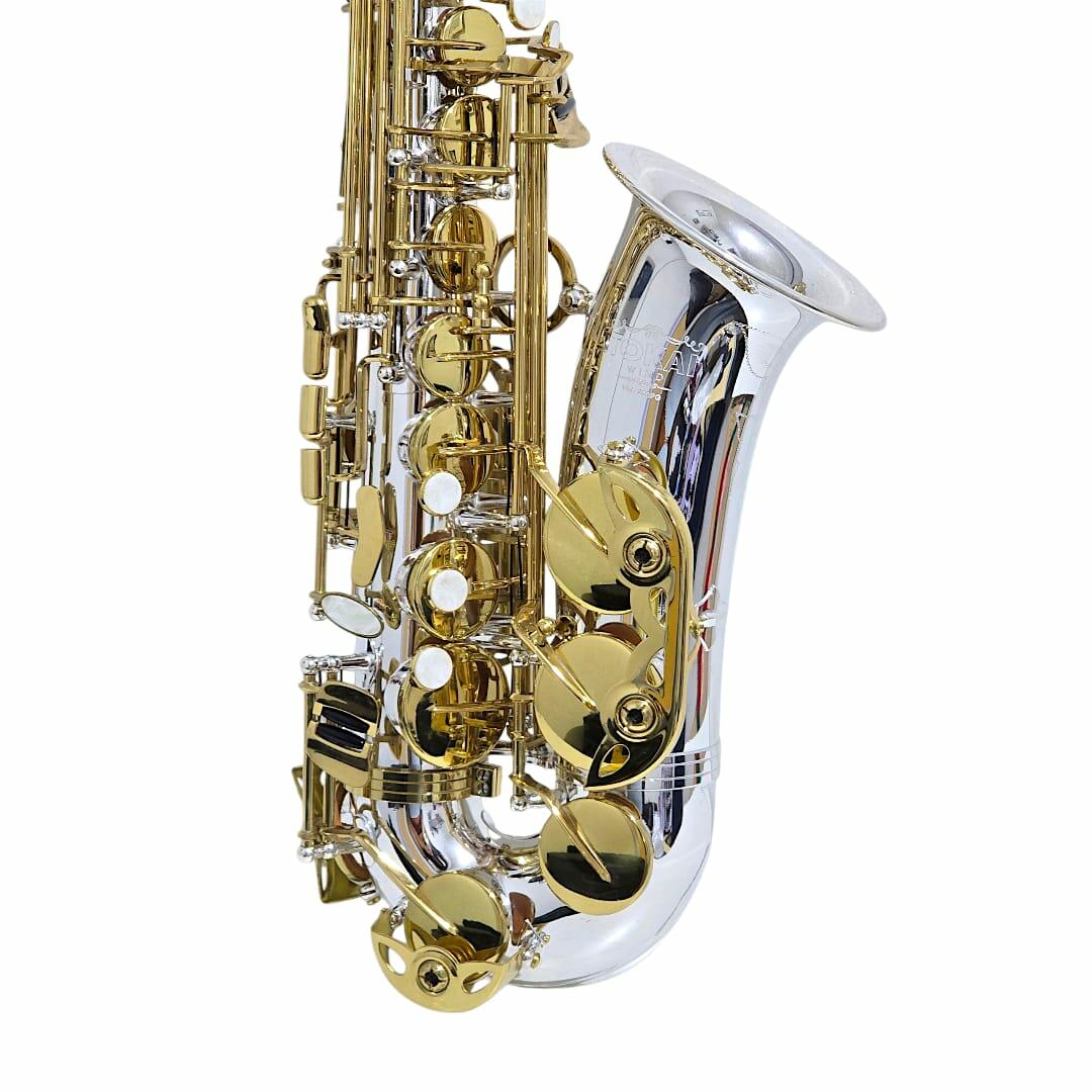 Comprar Saxofone Alto Mib Tokai TSA-200PG Prata/Dourado - a partir