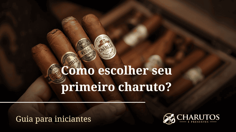 Como escolher o primeiro charuto ? Sommelier para iniciantes