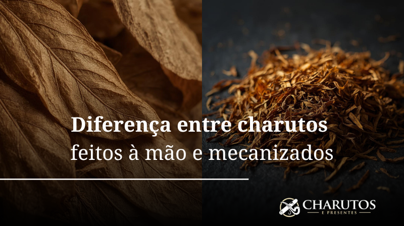 Guia do Iniciante - Blog Charutos e Presentes: guias, dicas e cultura ...
