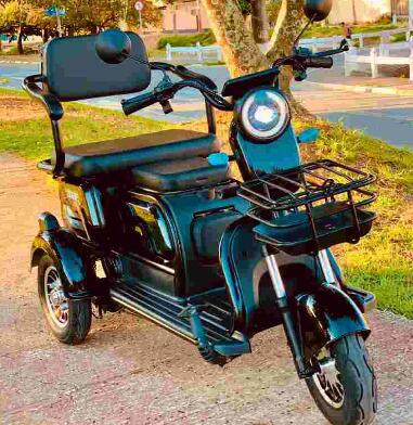 Triciclo Elétrico ECO Thor 600w Autopropelido Sem CNH