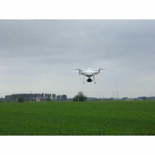 DJI Phantom 4 Multispectral