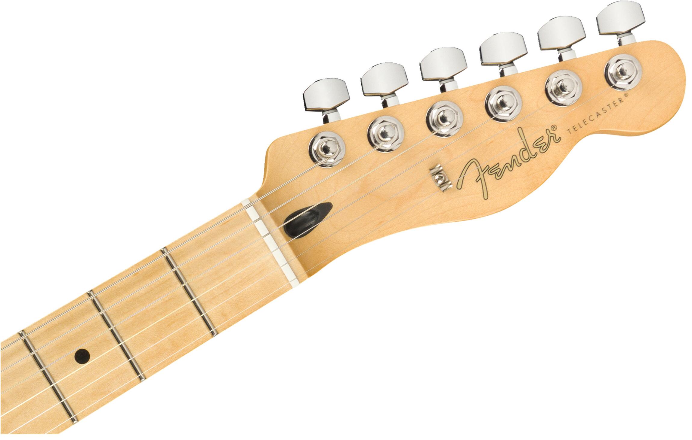 Comprar Guitarra Fender Player Telecaster - 101dB Tudo para Sua Casa