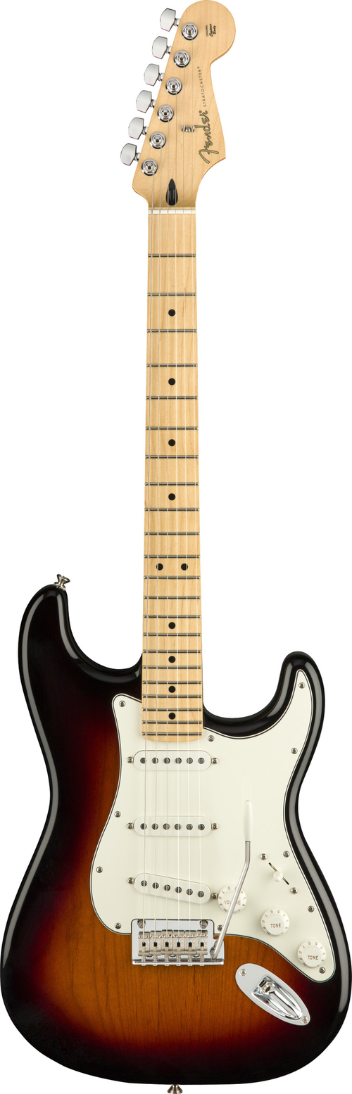 Comprar Guitarra Fender Player Stratocaster - 101dB Tudo para Sua Casa