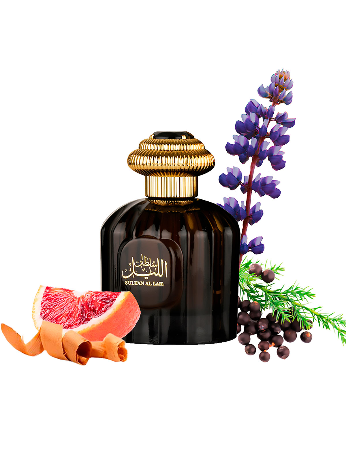 Comprar Perfume Masculino Sultan Al Lail Al Wataniah Eau de Parfum
