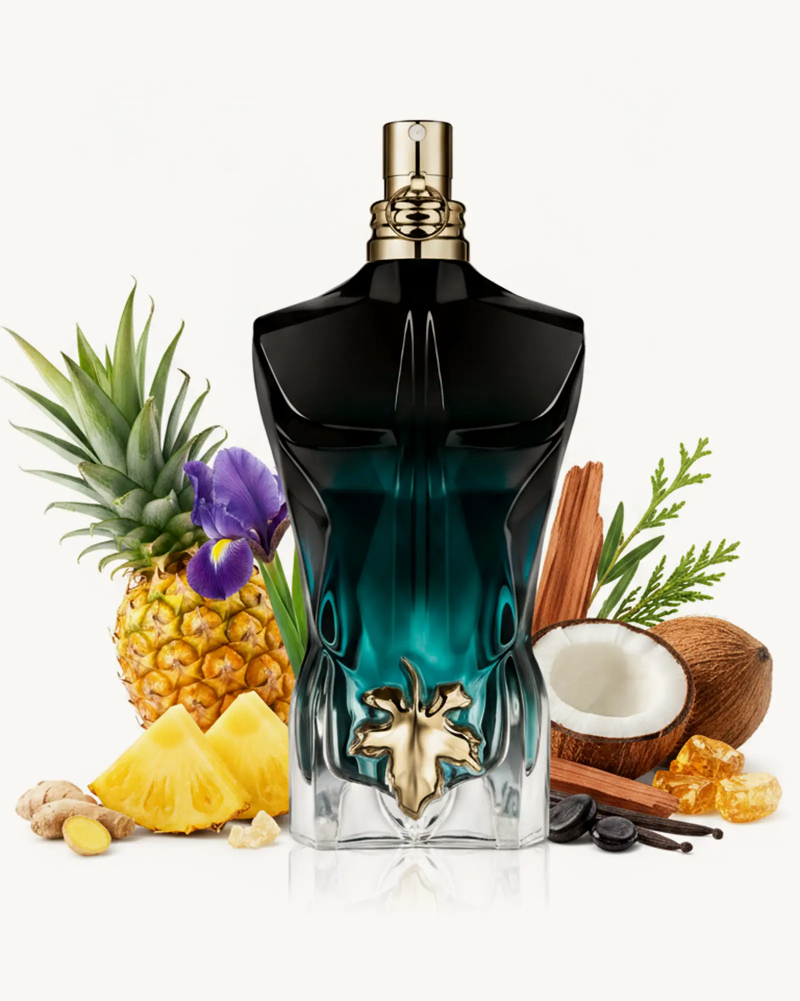 Le Beau Le Parfum: fragrância masculina fresca e sensual - a