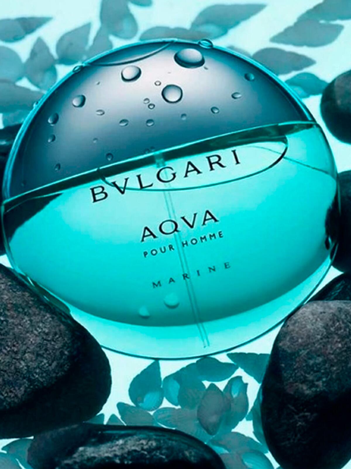 Aqva Marine Bvlgari EDT: perfume masculino aquático