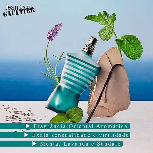 香水(男性用) Jean Paul Gaultier Le MaleLeParfum 125ml Comprar Perfume Masculino Le Male Jean Paul Gaultier Eau de
