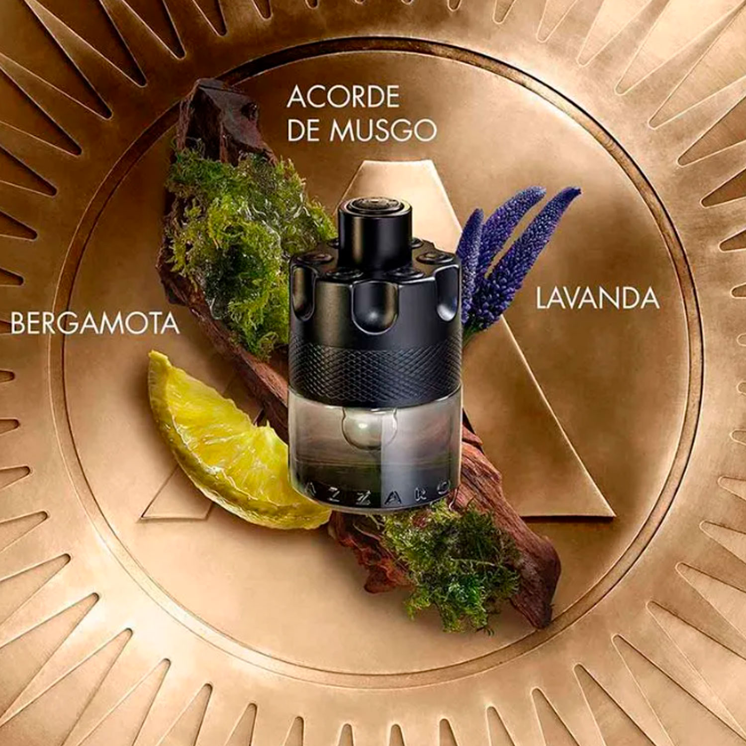 Comprar Perfume Masculino Azzaro The Most Wanted Eau de Toilette