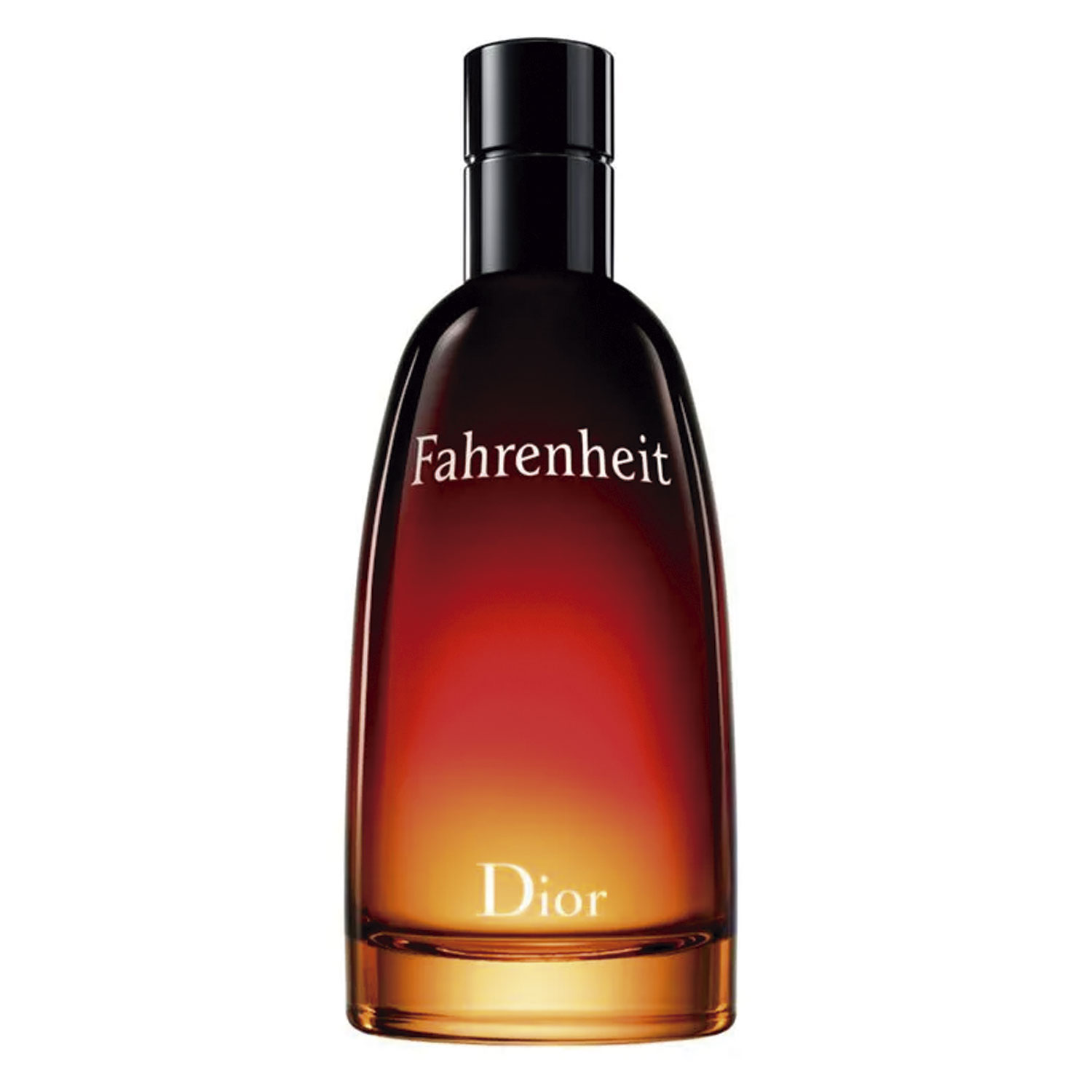 Fahrenheit Dior Eau de Toilette 100ml Masculino - a partir de R$937,65