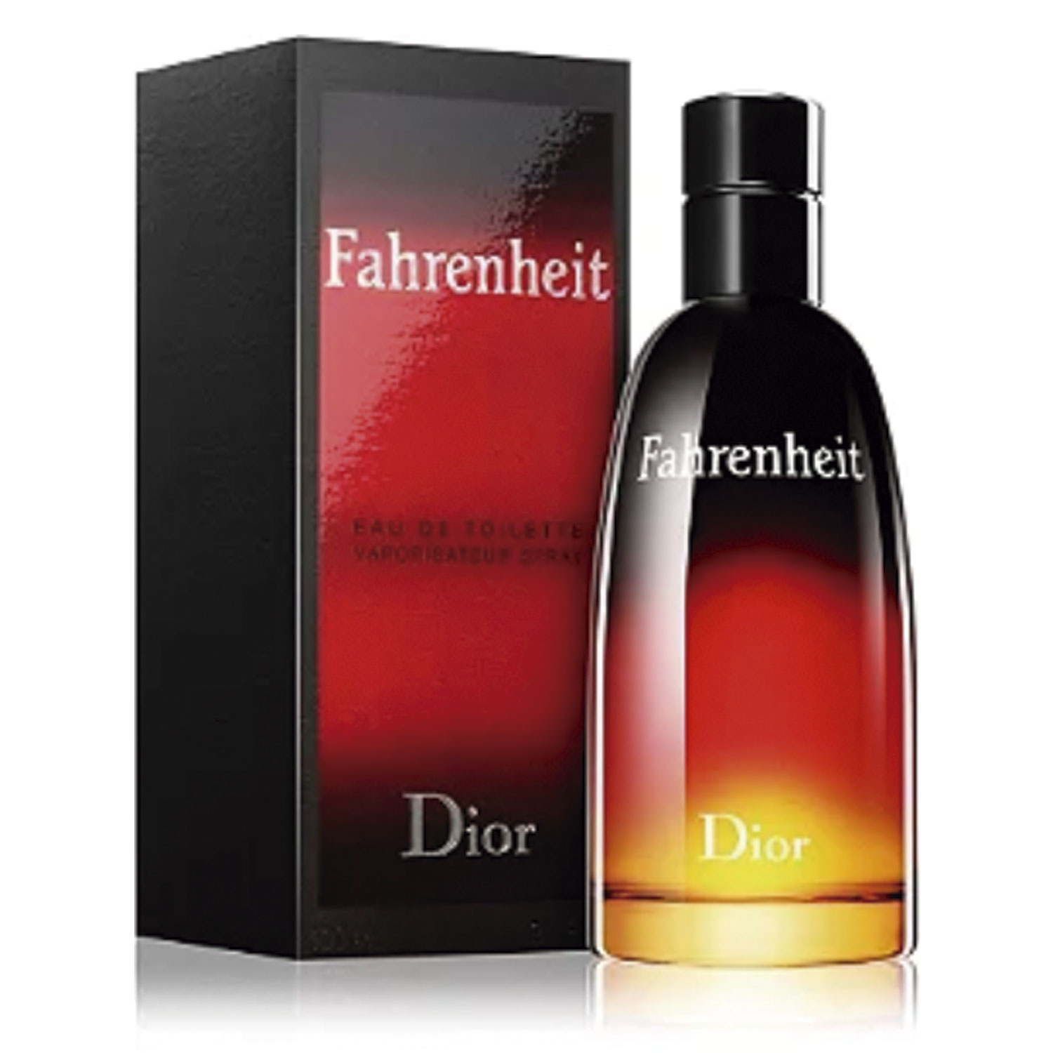 Christian Dior Fahrenheit 100ml 香水 Fahrenheit Dior Eau de Toilette 100ml Masculino - a partir de R$937,65