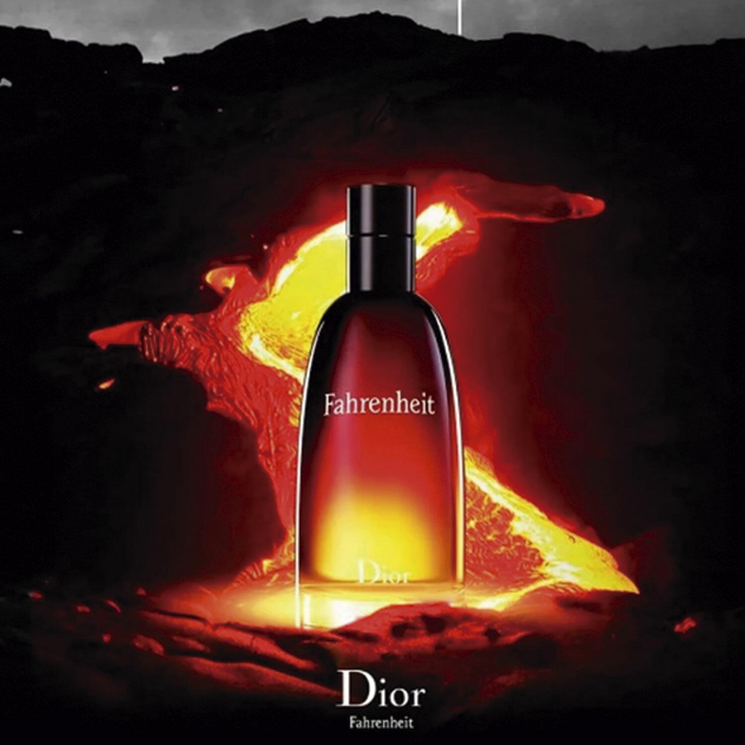 Fahrenheit Dior Eau de Toilette 200ml Masculino - a partir de R