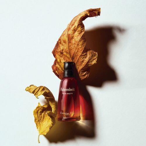 Fahrenheit Dior Eau de Toilette 200ml Masculino - a partir de R