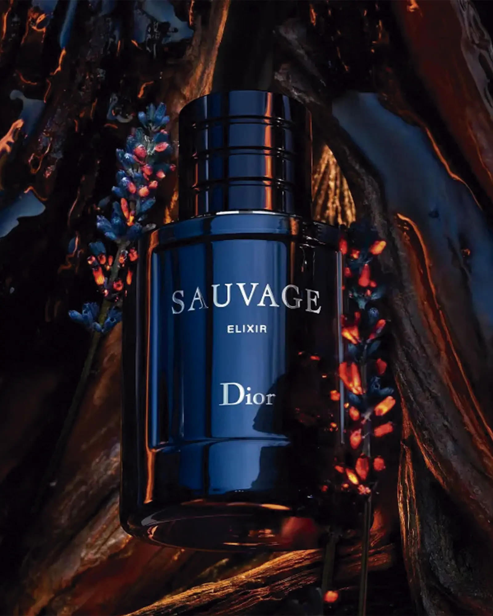 Sauvage Elixir Dior Masculino - a partir de R$1.897,15