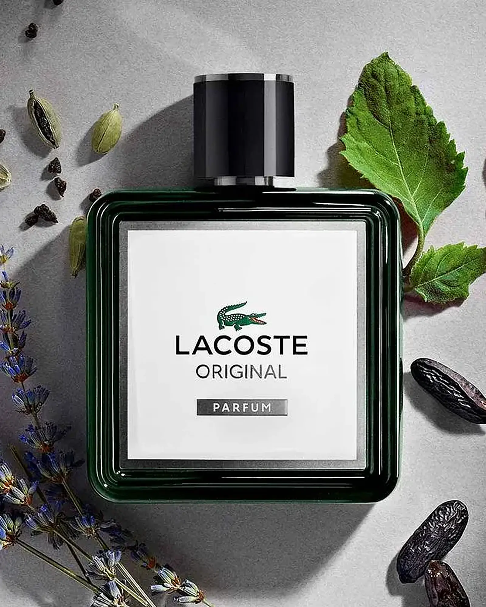 香水(ユニセックス) LACOSTE Eau de Toilette 100ml Perfume Lacoste Original Eau de Parfum 100ml Masculino - a partir